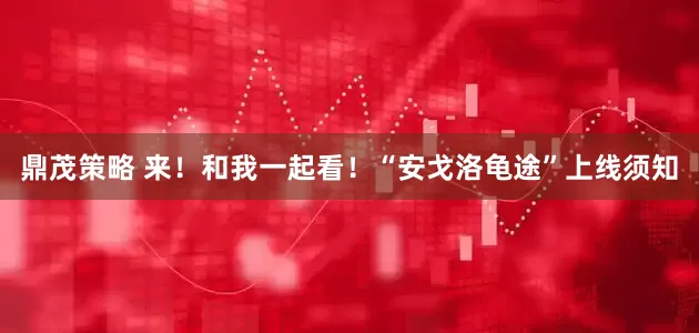 鼎茂策略 来！和我一起看！“安戈洛龟途”上线须知