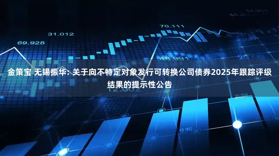 金策宝 无锡振华: 关于向不特定对象发行可转换公司债券2025年跟踪评级结果的提示性公告