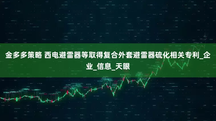 金多多策略 西电避雷器等取得复合外套避雷器硫化相关专利_企业_信息_天眼