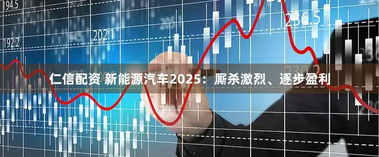 仁信配资 新能源汽车2025：厮杀激烈、逐步盈利