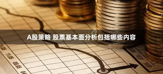 A股策略 股票基本面分析包括哪些内容